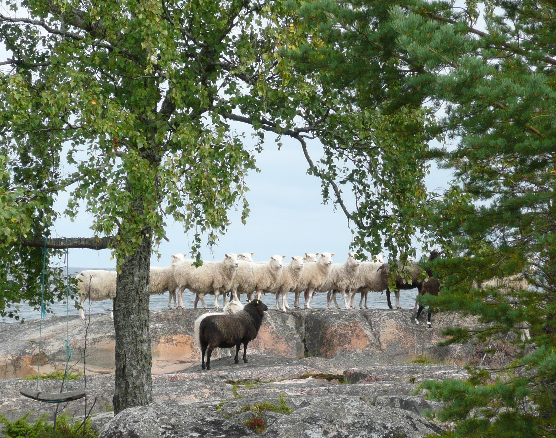 Kulttuurimaiseman hoitopartio lähtövalmiina