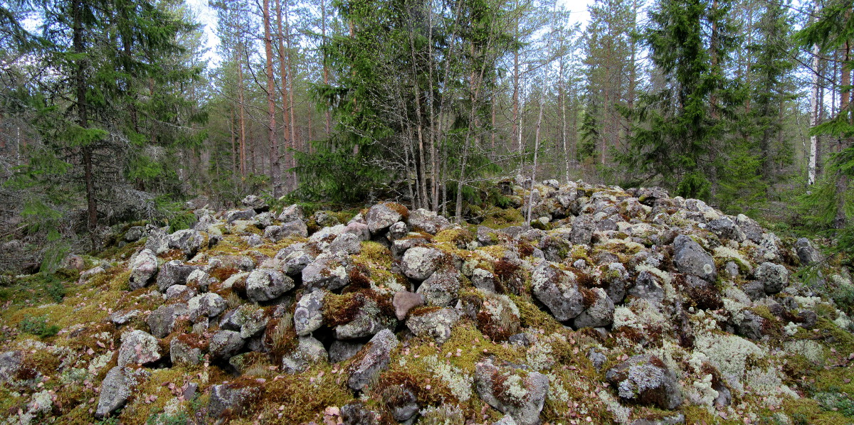 Kohde 4 Jättiläiskangas röykkiö 1 pan luoteeseen